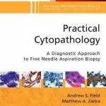 Practical Cytopathology: A Diagnostic Approach to Fine Needle Aspiration Biopsy: A Volume in the Pattern Recognition Series