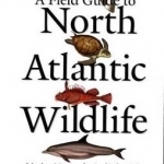 A Field Guide to North Atlantic Wildlife: Marine Mammals, Seabirds, Fish, and Other Sealife