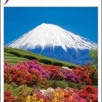 DK Eyewitness Travel Guide Japan