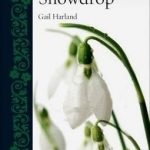 Snowdrop