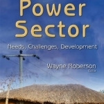 Africas Power Sector: Needs, Challenges, Development