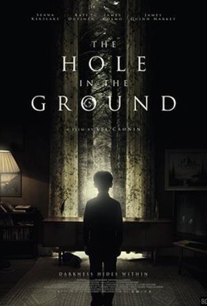 The Hole in the Ground (2019)