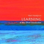 Learning: A Very Short Introduction