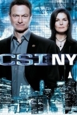 CSI: NY  - Season 9