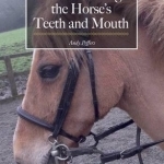 Understanding the Horse&#039;s Teeth and Mouth