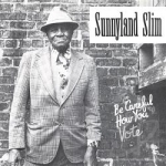 Be Careful How You Vote by Sunnyland Slim