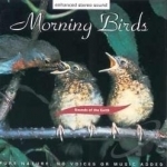 Sounds of the Earth: Morning Birds Soundtrack by Sounds Of The Earth / Various Artists