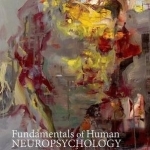 Fundamentals of Human Neuropsychology