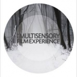 Multisensory Film Experience: A Cognitive Model of Experiental Film Aesthetics