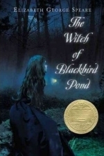 The Witch of Blackbird Pond