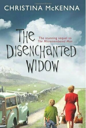 The Disenchanted Widow (Tailorstown, #2)