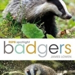RSPB Spotlight: Badgers