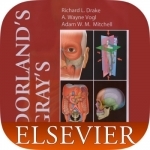 Dorland’s Medical Dictionary, Elsevier