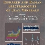 Infrared and Raman Spectroscopies of Clay Minerals