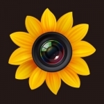 Photo Manager Pro