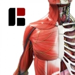 BioDigital Human: 3D Anatomy Explorer