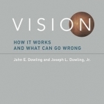 Vision: How it Works and What Can Go Wrong