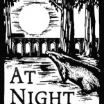 At Night: A Journey Round Britain from Dusk Till Dawn