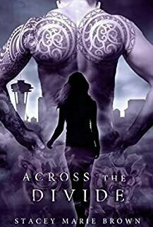 Across The Divide (Collector, #3)
