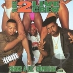 Shake a Lil&#039; Somethin&#039; by The 2 Live Crew