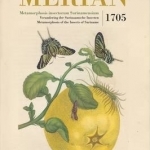 Maria Sibylla Merian. Metamorphosis Insectorum Surinamensium