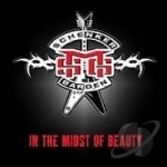 In the Midst of Beauty by Michael Schenker Group / Michael Schenker