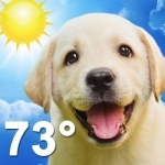 Weather Puppy