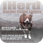 iHerd: Border Collie Lovers Magazine
