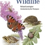 Guide to Garden Wildlife