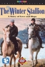 The Christmas Stallion (1992)
