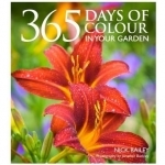 365 Days of Colour