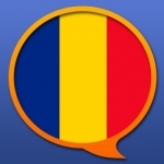 Dicționar poliglot română