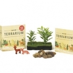 Desktop Terrarium: No Green Thumb Required!