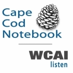 A Cape Cod Notebook from WCAI