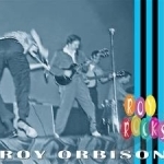 Roy Rocks by Roy Orbison