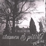 Towns by Stamen &amp; Pistils