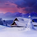 Winter Wallpapers & Backgrounds™