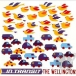 In Transit by Wellingtons