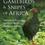 Terrestrial Gamebirds &amp; Snipes of Africa: Guineafowls, Francolins, Spurfowls, Quails, Sangrouse &amp; Snipes