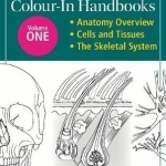 Anatomy Student&#039;s Colour-in Handbooks: The Muscular System: The Digestive System: Volume 2