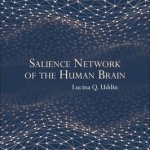 Salience Network of the Human Brain