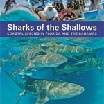 Sharks of the Shallows: Coastal Species in Florida and the Bahamas