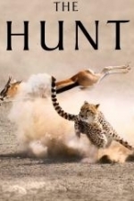 The Hunt