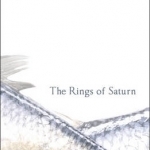 The Rings of Saturn