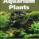 The 101 Best Aquarium Plants
