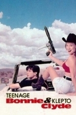 Teenage Bonnie &amp; Klepto Clyde (1993)