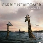 Permeable Life by Carrie Newcomer