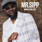 Knock a Hole in It by Mr Sipp