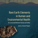 Rare Earth Elements in Human and Environmental Health: At a Crossroads Between Toxicity and Safety