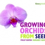 Growing Orchids from Seed